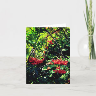 Rote Beeren Karte