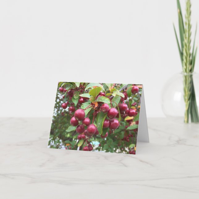 rote Beeren Karte (Vorderseite)