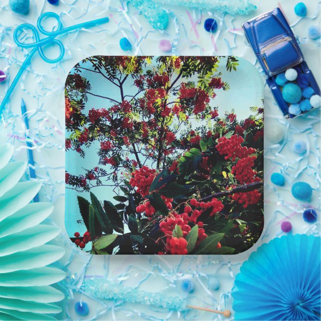 Rote Beeren Pappteller (Party)