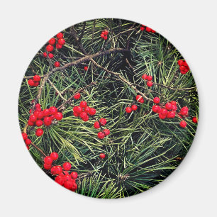 Rote Beeren Tannennadeln Weihnachten Magnet