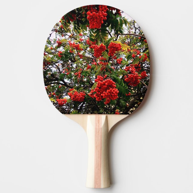 Rote Beeren Tischtennis Schläger (Vorderseite)