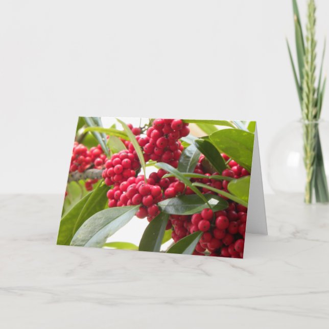 Rote Beeren Weihnachtskarte Feiertagskarte (Vorderseite)