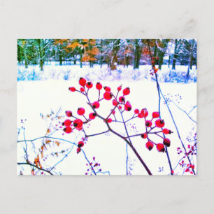 ROTE BEEREN WINTER POSTKARTE