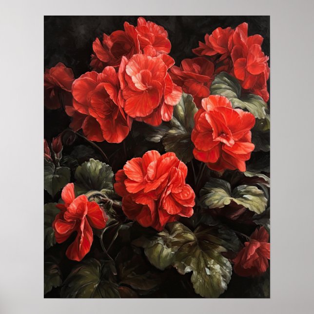 Rote Begonia-Blume Art Print Poster (Vorne)