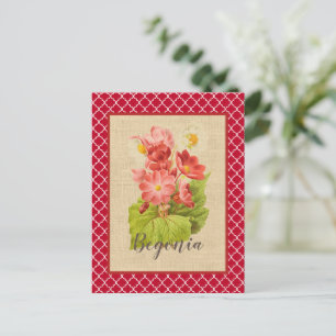Rote Begonie Botanisch und Vierpass Postkarte