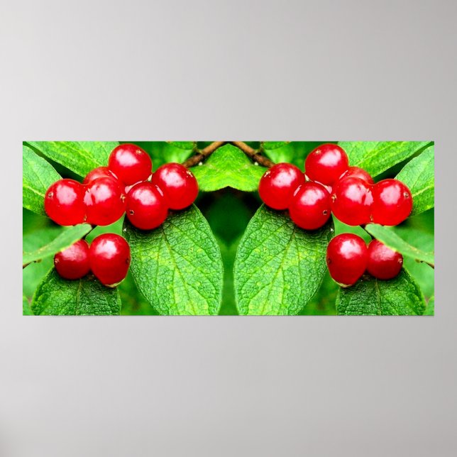 Rote Berries mit Raindrops Mirror Abstrakt Poster (Vorne)