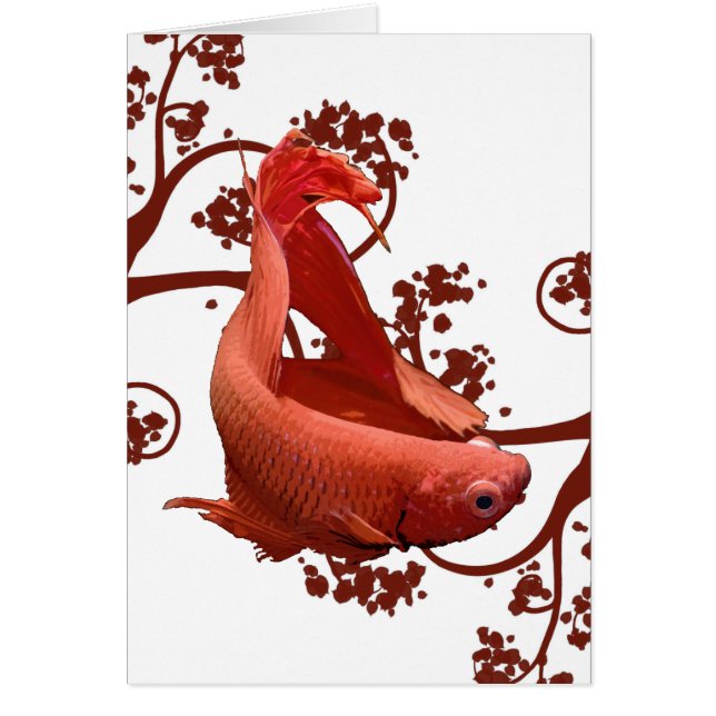 Rote Betta siamesische kämpfende Fische (Vorne)