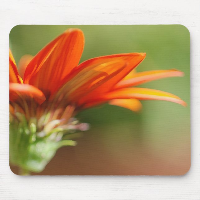 Rote Blätter aus Gazania Mousepad (Vorne)