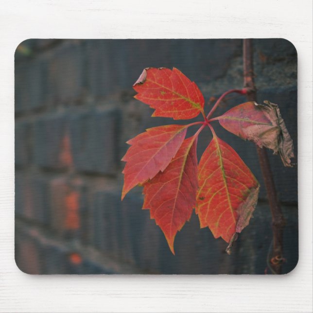 Rote Blätter Mousepad (Vorne)