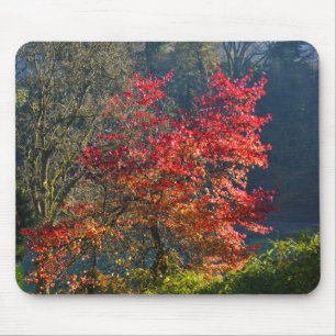 Rote Blätter Mousepad
