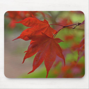 Rote Blätter Mousepad