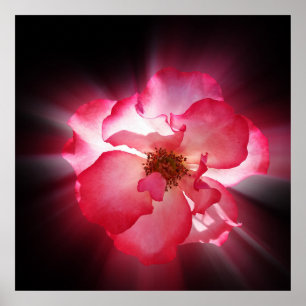 Rote Blätter Poster