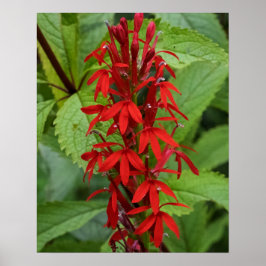 Rote Blätter Poster