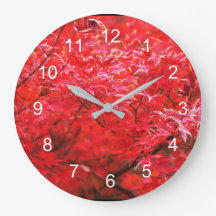 Rote Blätter rund um die Uhr
