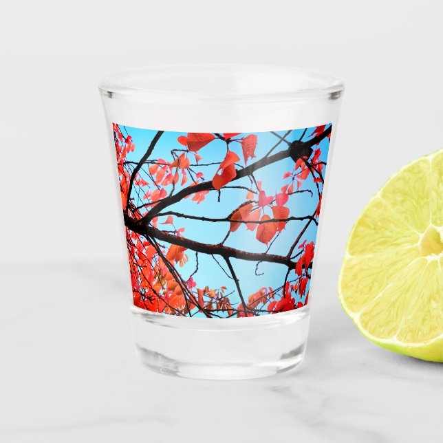 Rote Blätter Schnapsglas (Vorderseite)