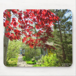 Rote Blätter und Walkway - Martha's Vineyard Mousepad
