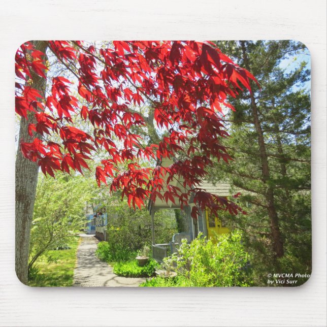 Rote Blätter und Walkway - Martha's Vineyard Mousepad (Vorne)