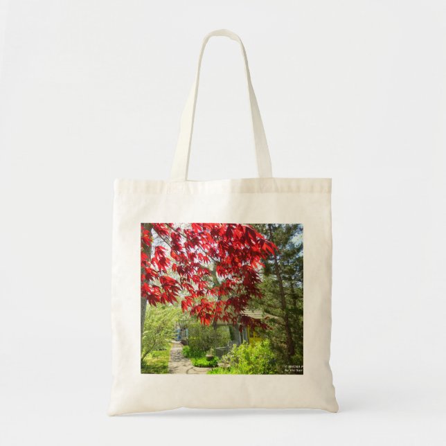 Rote Blätter und Walkway - Martha's Vineyard Tragetasche (Vorne)