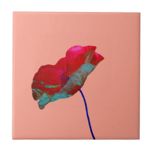 Rote blaue Mohnblume auf Rosa Fliese
