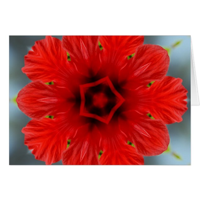 Rote Blume (Vorderseite (Horizontal))