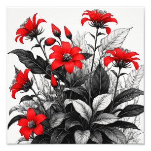 Rote Blume auf Schwarz-weiße Pflanze Fotodruck