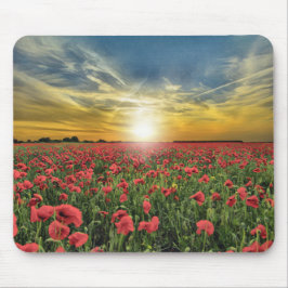 Rote Blume bei Sonnenuntergang Mousepad