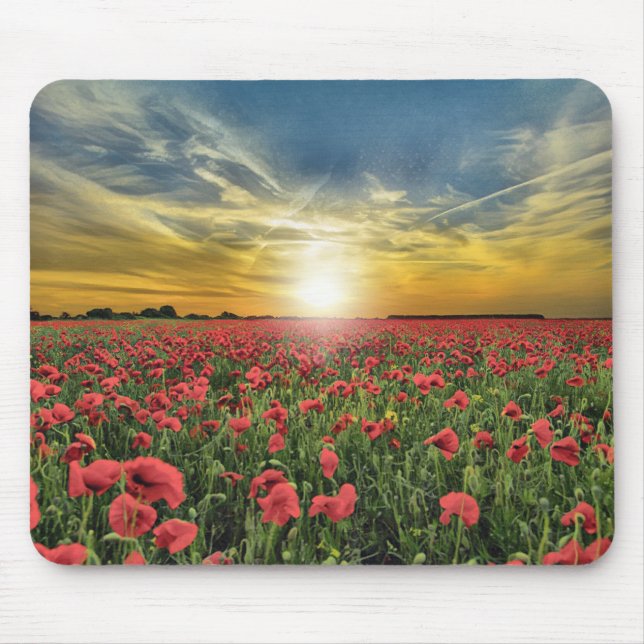 Rote Blume bei Sonnenuntergang Mousepad (Vorne)