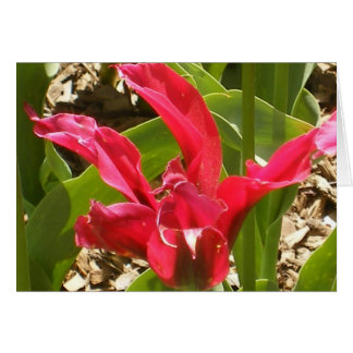 Rote Blume - besonders angefertigt