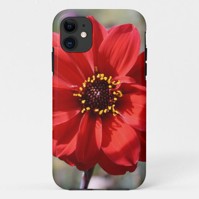 Rote Blume Case-Mate iPhone Hülle (Rückseite)