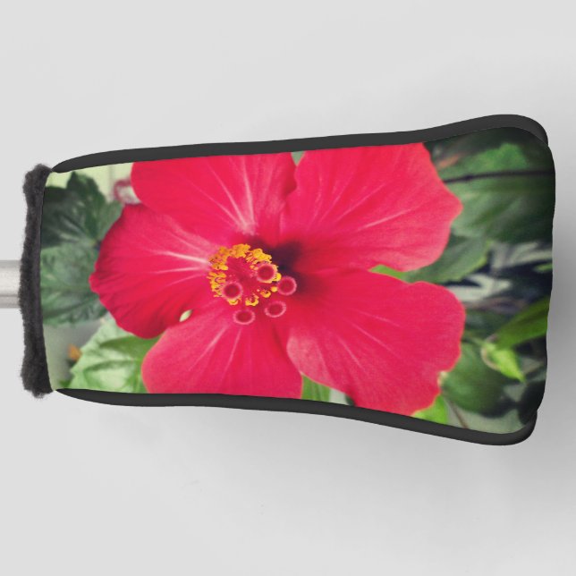 Rote Blume des Hibiskus Rosa-sinensis Golf Headcover (Vorderseite)
