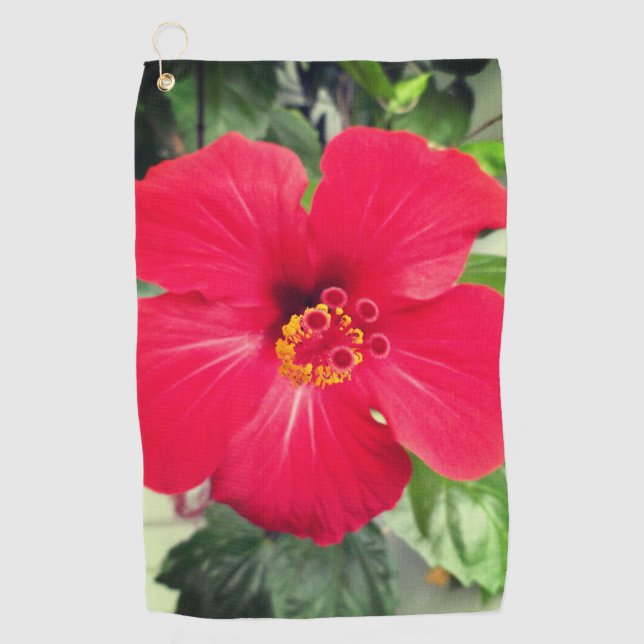 Rote Blume des Hibiskus Rosa-sinensis Golfhandtuch (Vorderseite)