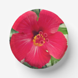Rote Blume des Hibiskus Rosa-sinensis Pappteller