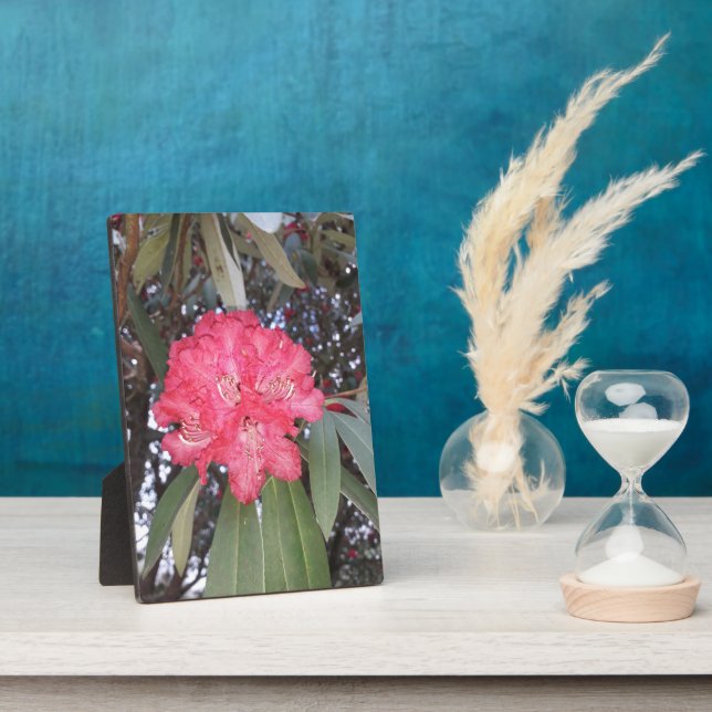 Rote Blume Fotoplatte (Seite)