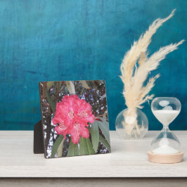 Rote Blume Fotoplatte