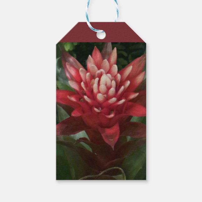 Rote Blume - Geschenketiketten Geschenkanhänger (Vorderseite)
