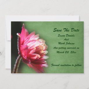 Rote Blume Hochzeit Save The Date