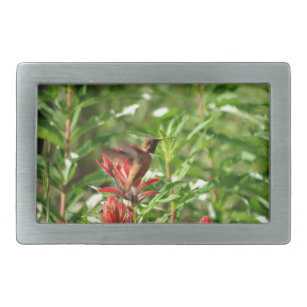 Rote Blume Hummingvogel Rechteckige Gürtelschnalle