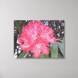 Rote Blume Leinwanddruck