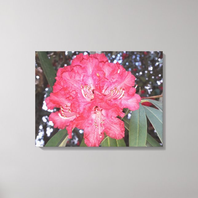 Rote Blume Leinwanddruck (Vorderseite)