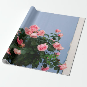 Rote Blume mit grünen Blätter an der blauen Wand Geschenkpapier