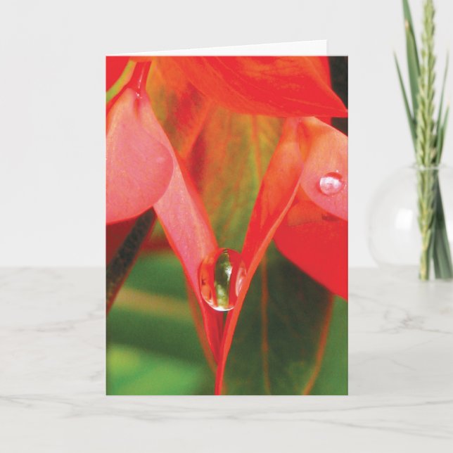 Rote Blume mit tiefer sinnlicher Natur Karte (Vorderseite)