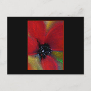 Rote Blume, Mohn. Postkarte