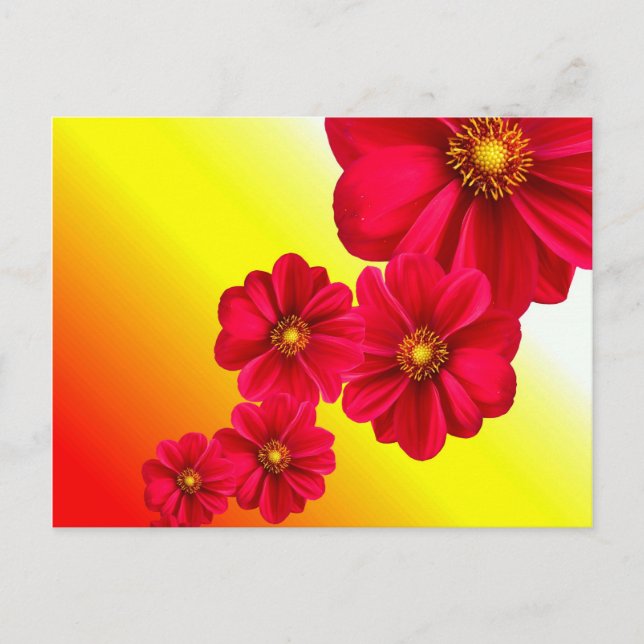 Rote Blume Postkarte (Vorderseite)