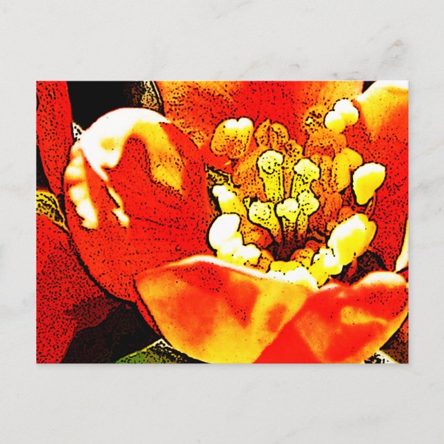 Rote Blume Postkarte (Vorderseite)