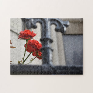 Rote Blume Schmiedeeisen New York City Fotografie
