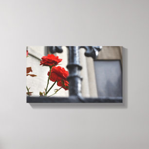 Rote Blume Schmiedeeisen New York City Fotografie Leinwanddruck