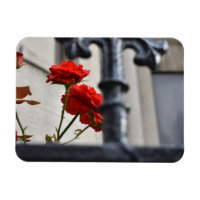 Rote Blume Schmiedeeisen New York City Fotografie
