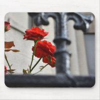Rote Blume Schmiedeeisen New York City Fotografie