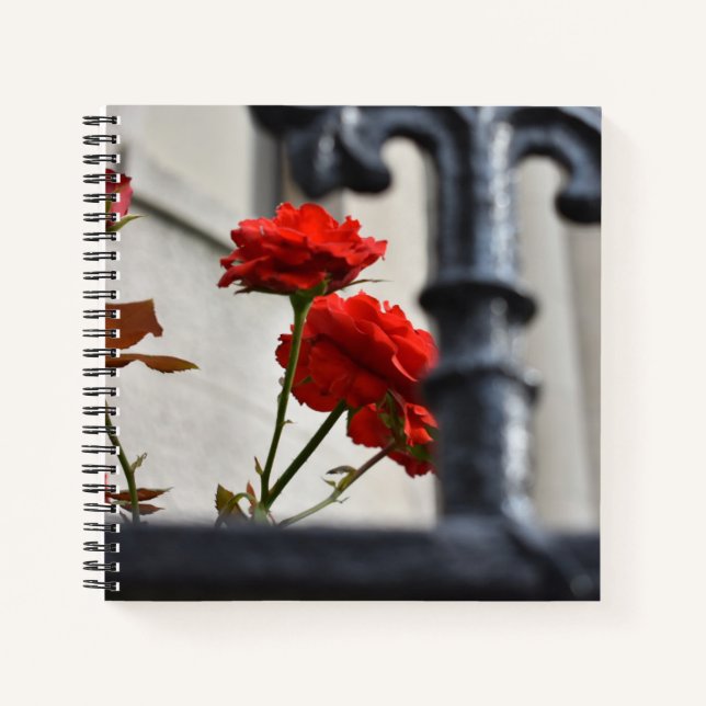 Rote Blume Schmiedeeisen New York City Fotografie Notizbuch (Vorderseite)