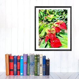 Rote Blume Tropischer Garten Poster